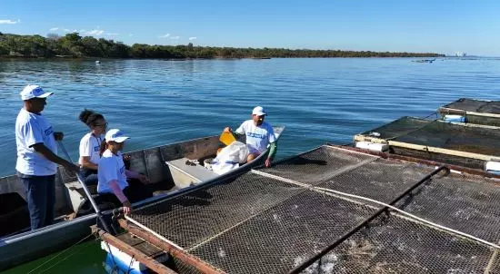 TOCANTINS ][ Codevasf lança diagnóstico da aquicultura no Lago da UHE Luís Eduardo Magalhães